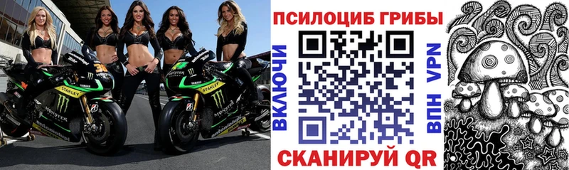 Галлюциногенные грибы прущие грибы  купить   Шимановск 