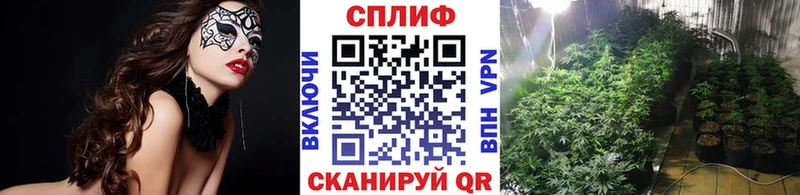 МАРИХУАНА ГИДРОПОН сколько стоит Шимановск